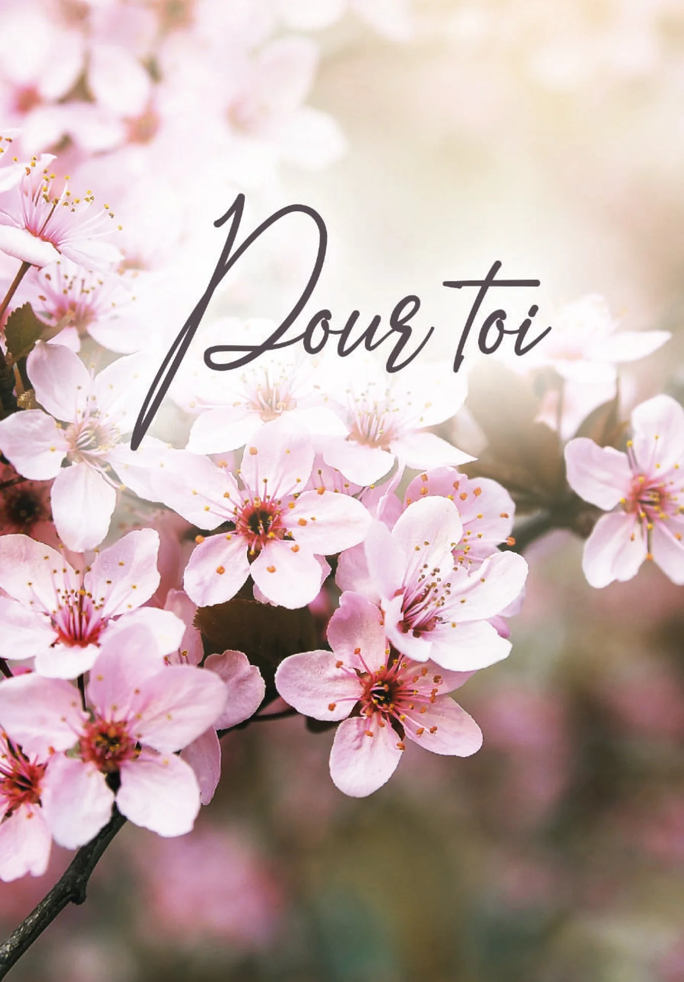 Pour toi - Fleurs de cerisier PDF - Image 2